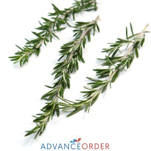 Fresh Rosemary-1x100g