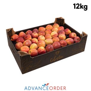 Red Royal Gala Apples 1x12kg
