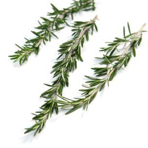 Fresh Rosemary-1x100g