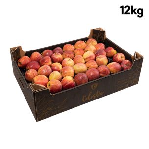 Red Royal Gala Apples 1x12kg