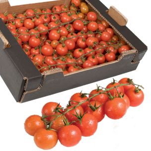 Cherry Vine Tomatoes Class I 1x3kg