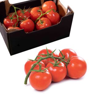 Vine Tomatoes Class 1 1x1.5kg